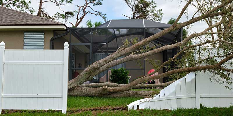 Storms And Sudden Tree Damage Require Urgent Attention