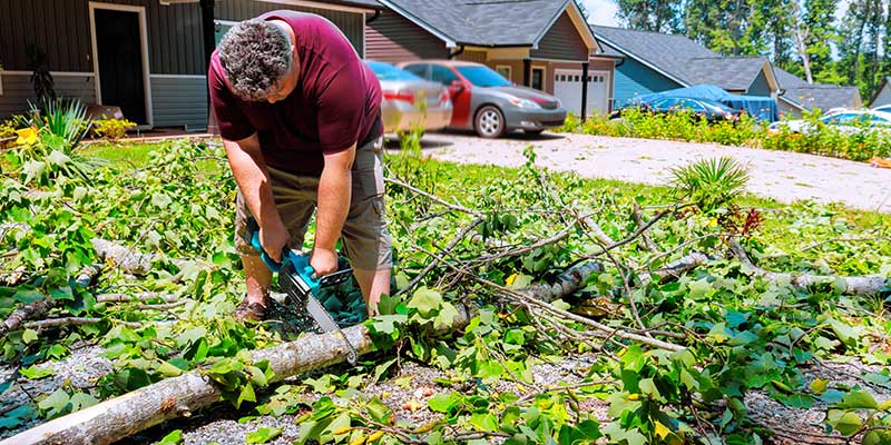 Every Tree Removal Project In Aledo Creates Debris Such As Leaves
