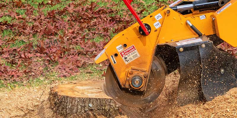 Leftover Stumps Can Spoil Your Landscape And Pose Trip Hazards