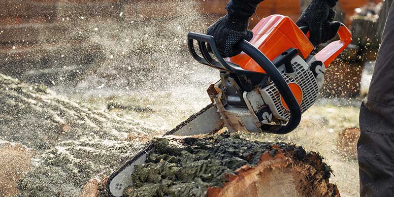 Storms And Unpredictable Damage Can Leave Trees Dangerously Unstable